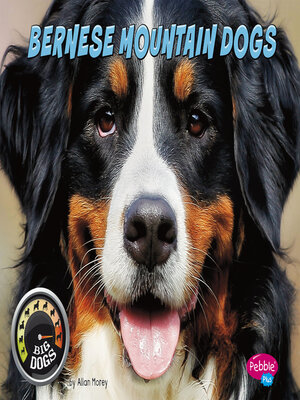 cover image of Bernese Mountain Dogs